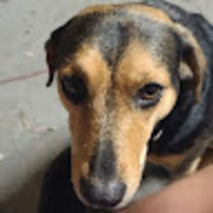 Meet your Posher, Jeramy